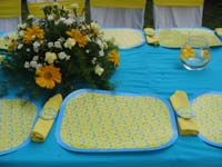 Blue Baby Shower theme Placemats